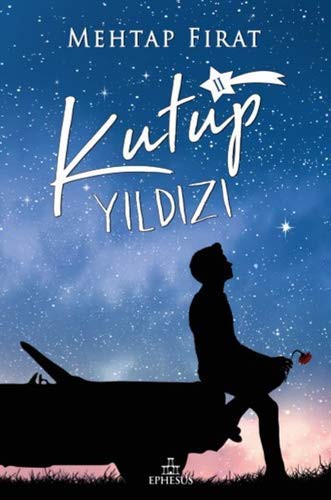 Kutup Yıldızı 2 (Karton Kapak) kitap kapağı
