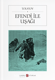 Efendi İle Uşağı kitap kapağı