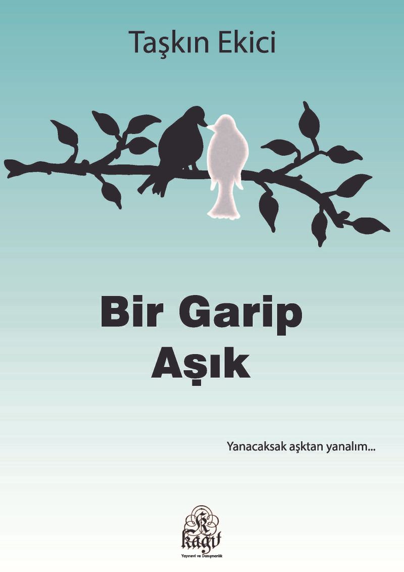 Bir Garip Aşık kitap kapağı