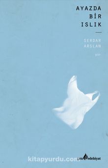 Ayazda Bir Islık kitap kapağı