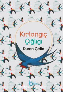 Kırlangıç Feryadı kitap kapağı