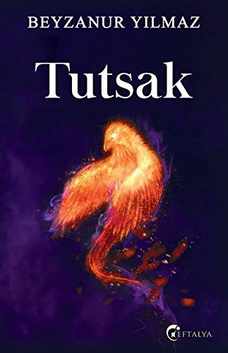 Tutsak (Ciltli) kitap kapağı