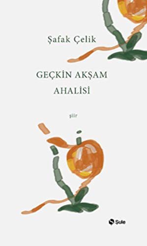 Geçkin Akşam Ahalisi kitap kapağı