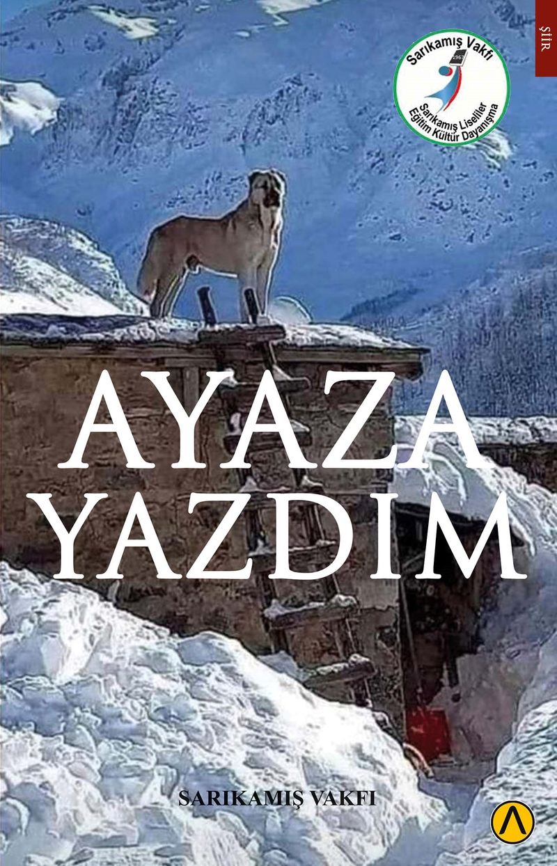 Ayaza Yazdım kitap kapağı