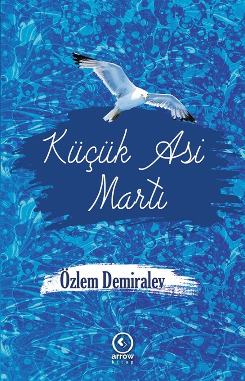 Küçük Asi Martı kitap kapağı