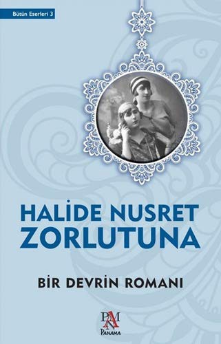 Bir Devrin Romanı kitap kapağı