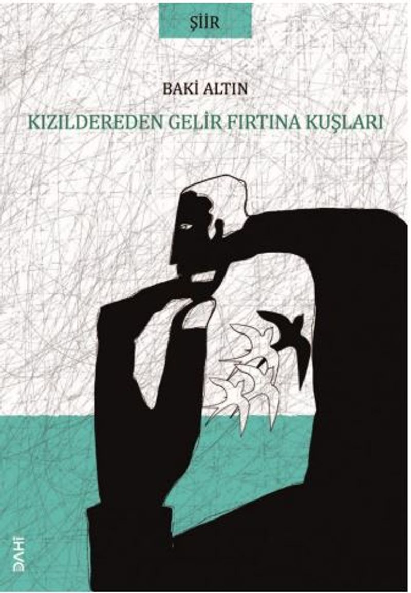 Kızıldereden Gelir Fırtına Kuşları kitap kapağı