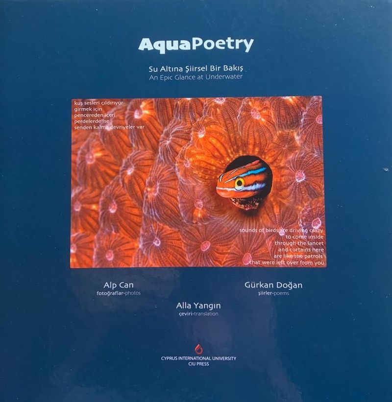 AquaPoetry Su Altına Şiirsel Bir Bakış kitap kapağı