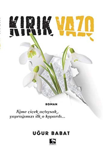 Kırık Vazo kitap kapağı