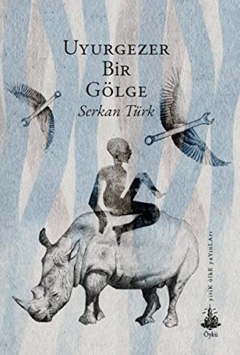 Uyurgezer Bir Gölge kitap kapağı