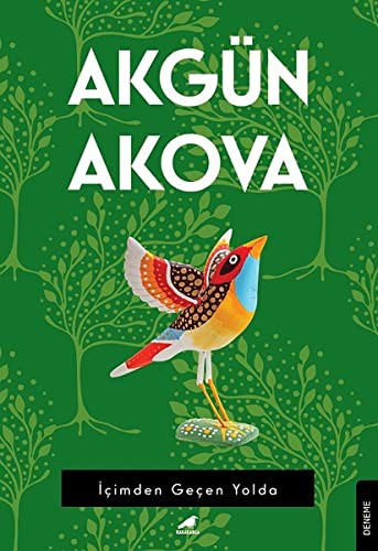 İçimden Geçen Yolda kitap kapağı