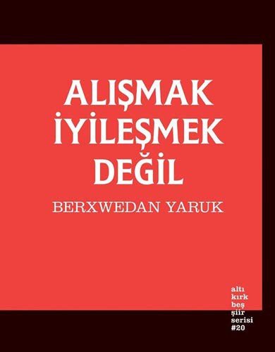 Alışmak İyileşmek Değil kitap kapağı