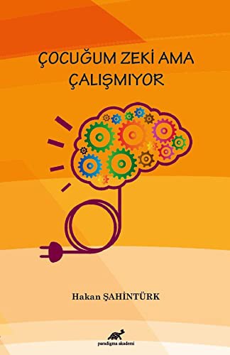 Çocuğum Zeki Ama Çalışmıyor kitap kapağı