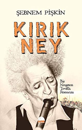 Kırık Ney & Bir Neyzen Tevfik Romanı kitap kapağı