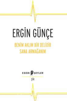 Benim Aklım Bir Delidir Sana Armağanım kitap kapağı