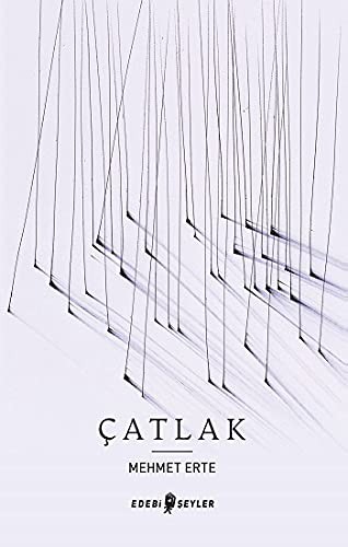 Çatlak kitap kapağı