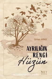 Ayrılığın Rengi Hüzün kitap kapağı