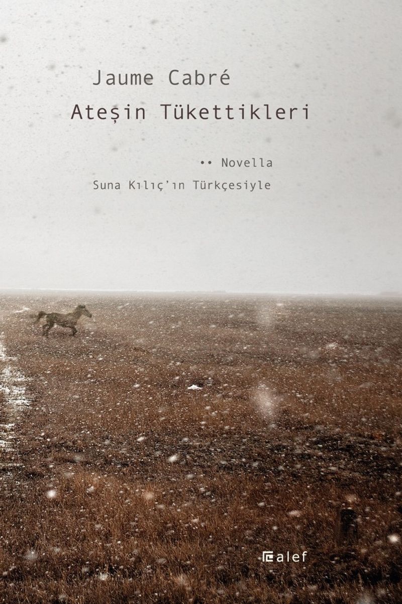 Ateşin Tükettikleri kitap kapağı