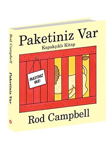 Paketiniz Var - Kapakçıklı Kitap kitap kapağı