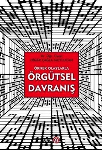 Örnek Olaylarla Örgütsel Davranış kitap kapağı