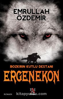 Bozkırın Kutlu Destanı Ergenekon kitap kapağı