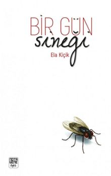 Bir Gün Sineği kitap kapağı
