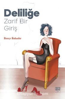 Deliliğe Zarif Bir Giriş kitap kapağı