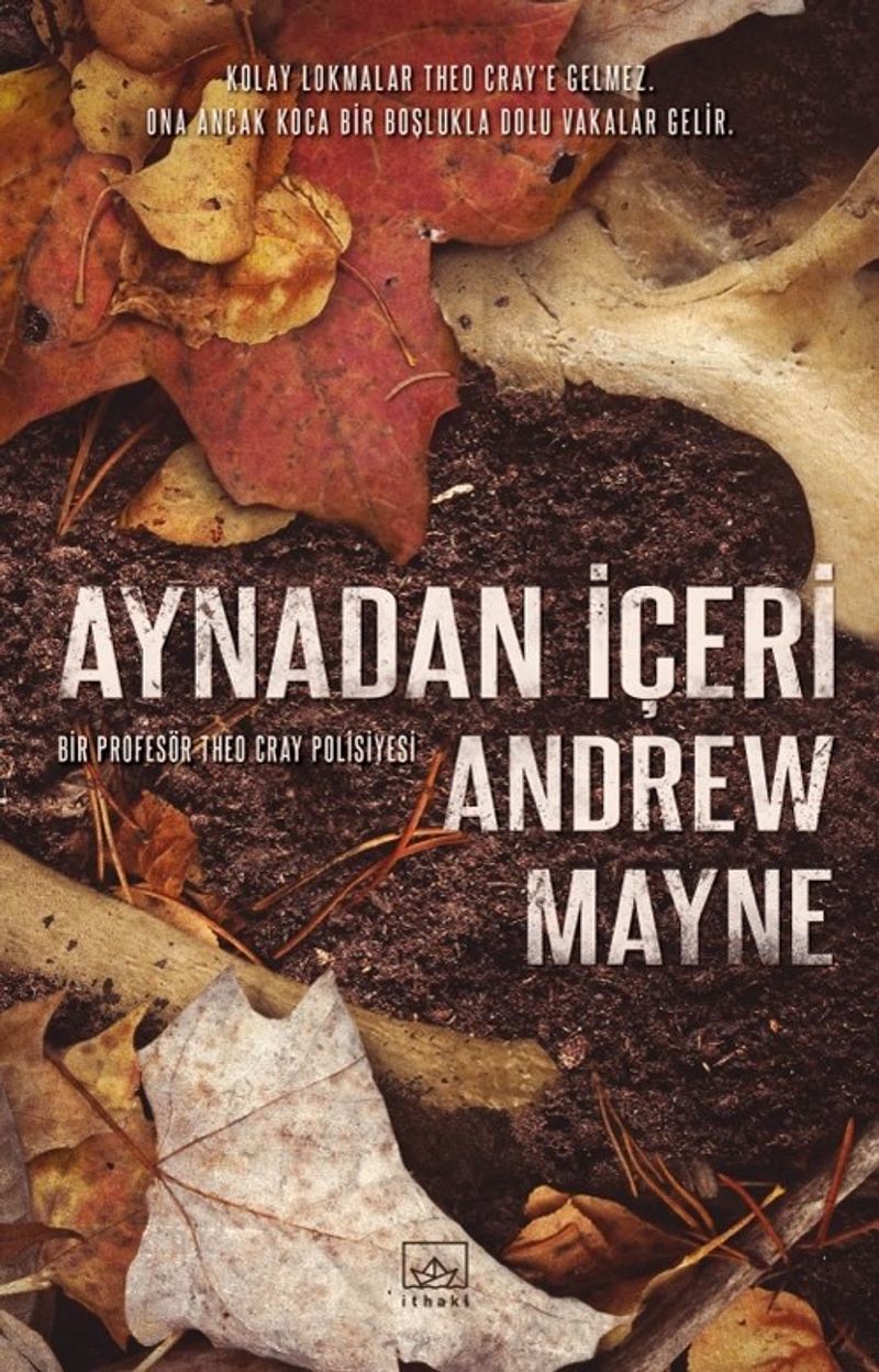 Aynadan İçeri - Natüralist 2 kitap kapağı