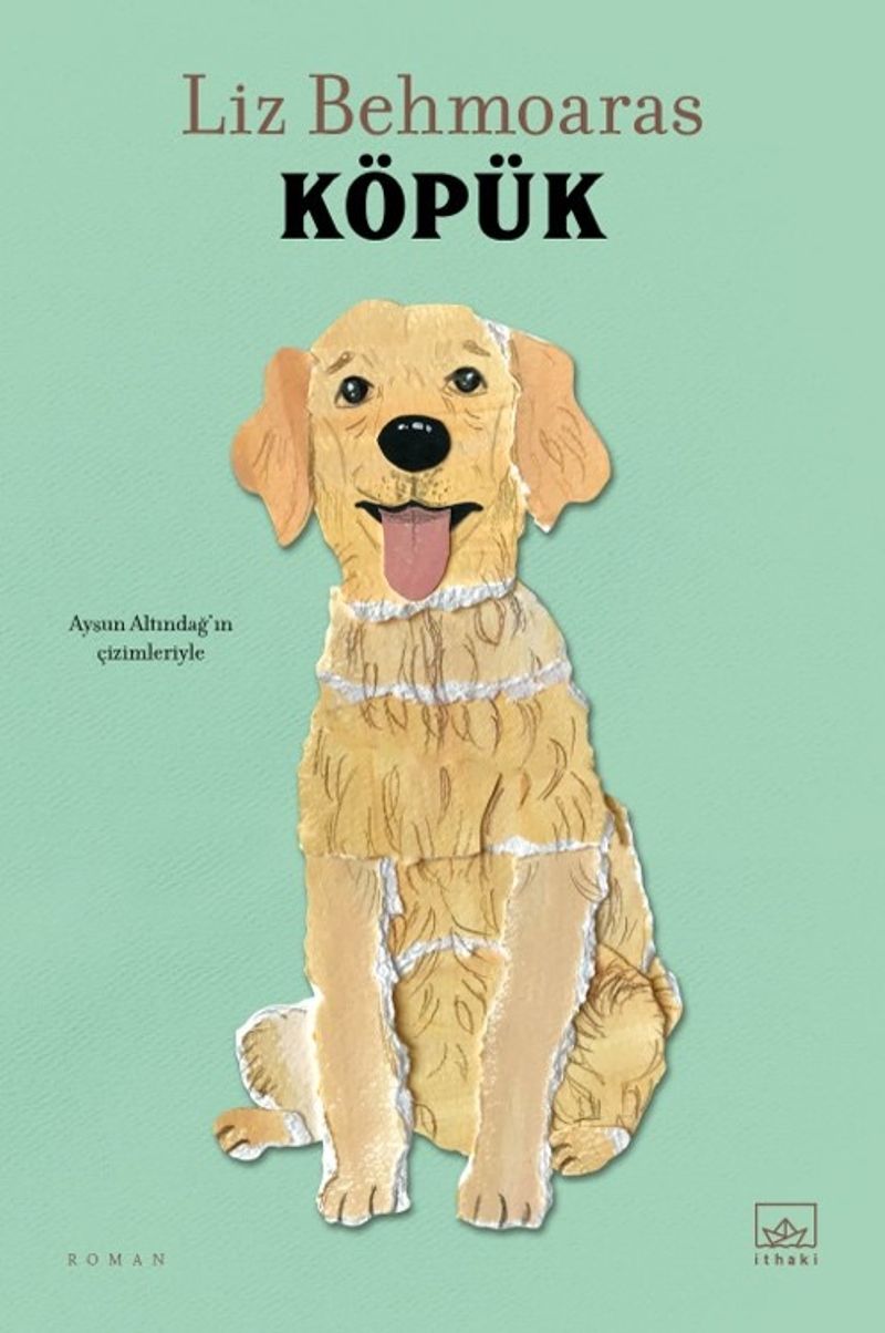 Köpük kitap kapağı