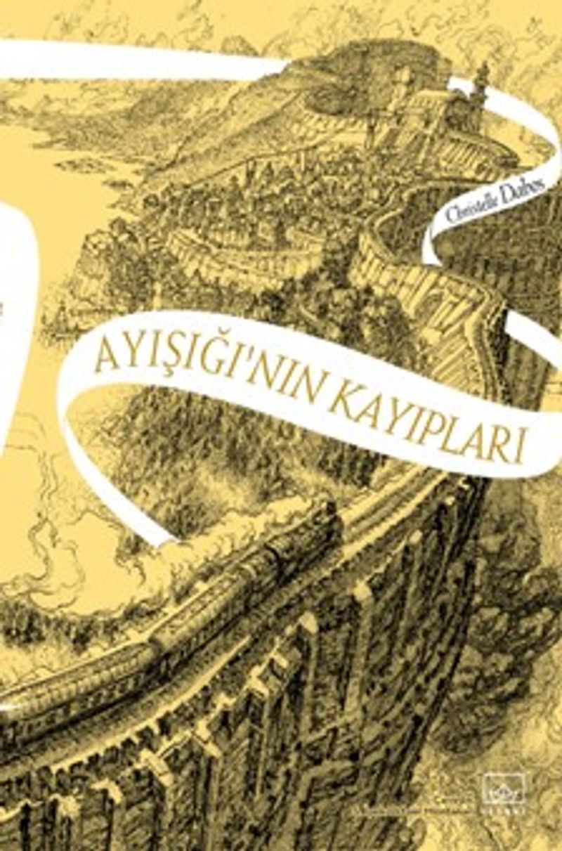 Ayışığı'nın Kayıpları / Aynadan Geçen Kız Serisi 2. Kitap kitap kapağı