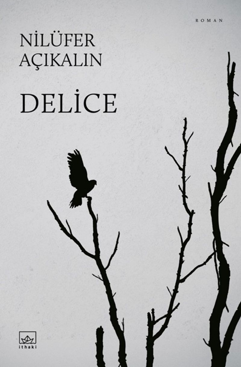 Delice kitap kapağı