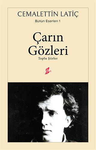 Çarın Gözleri Toplu Şiirler kitap kapağı