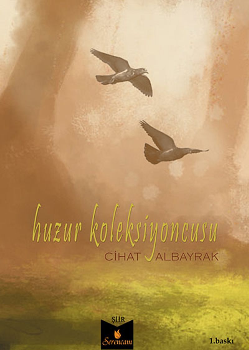 Huzur Koleksiyoncusu kitap kapağı