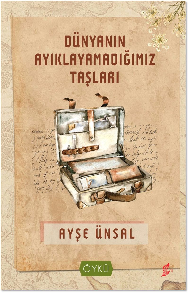 Dünyanın Ayıklayamadığımız Taşları kitap kapağı