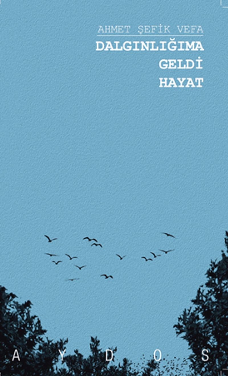 Dalgınlığıma Geldi Hayat kitap kapağı