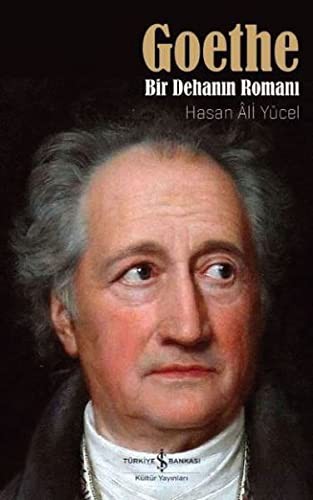 Goethe Bir Dehanın Romanı kitap kapağı