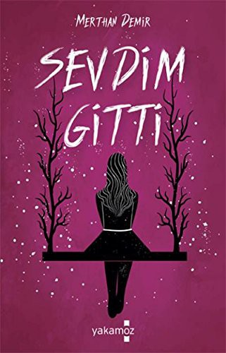 Sevdim Gitti kitap kapağı