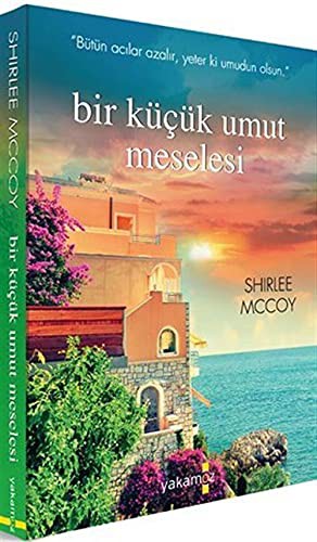 Bir Küçük Umut Meselesi kitap kapağı