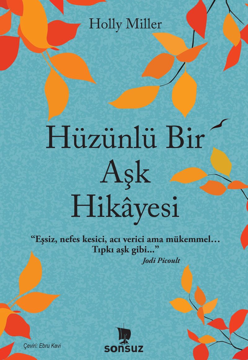 Hüzünlü Bir Aşk Hikayesi kitap kapağı