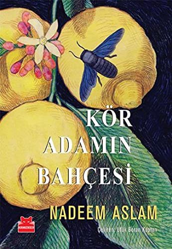 Kör Adamın Bahçesi kitap kapağı