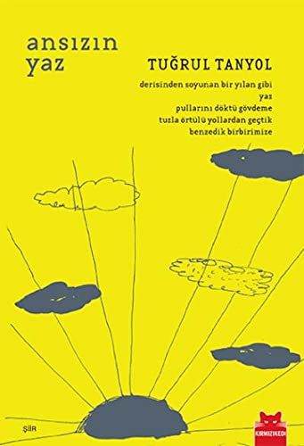 Ansızın Yaz kitap kapağı