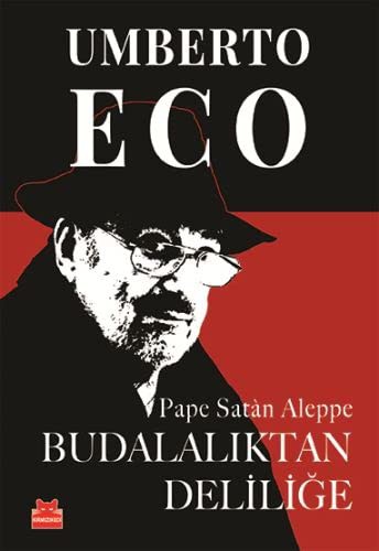 Budalalıktan Deliliğe kitap kapağı