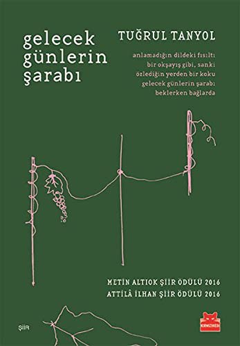 Gelecek Günlerin Şarabı kitap kapağı