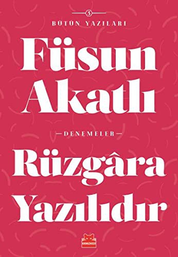 Rüzgara Yazılıdır kitap kapağı
