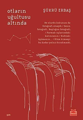 Otların Uğultusu Altında kitap kapağı