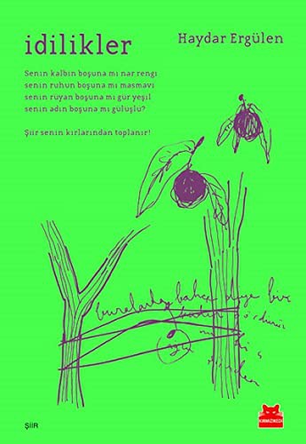 İdilikler kitap kapağı