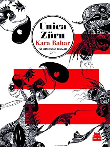 Kara Bahar kitap kapağı