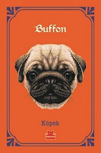 Köpek kitap kapağı