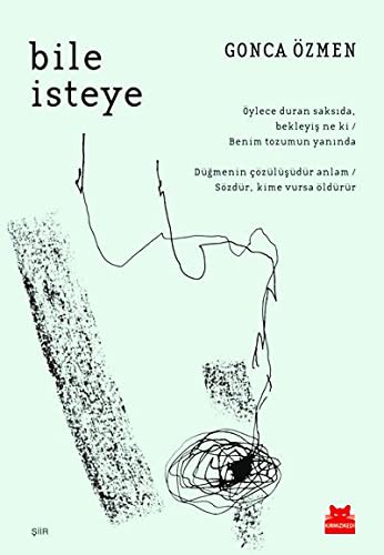 Bile İsteye kitap kapağı