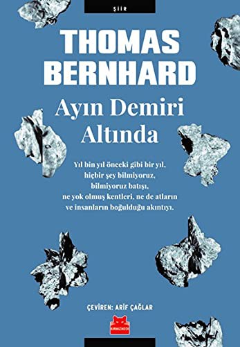 Ayın Demiri Altında kitap kapağı